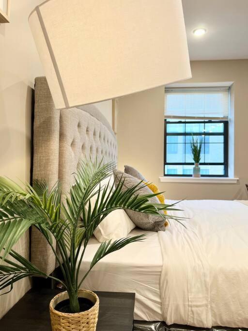 508 Urban Lifestyle King Bed In Center